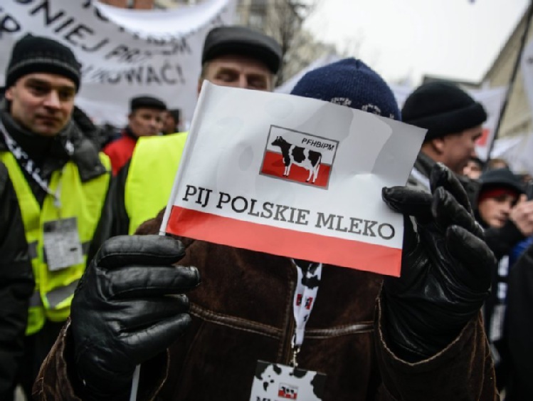 Polska Izba Mleka chce więcej pieniędzy na program "szklanka mleka"